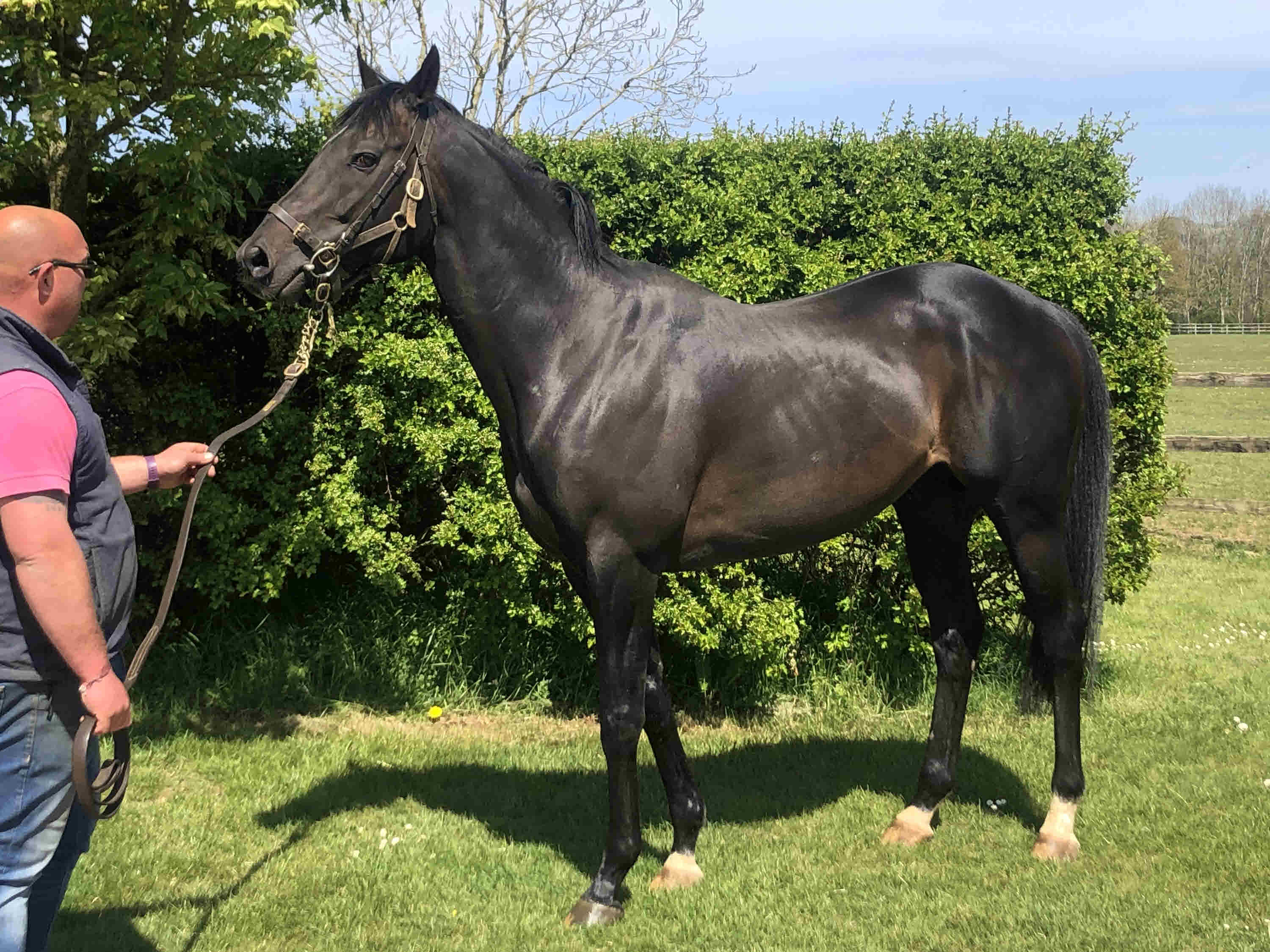 Jack Hobbs 3